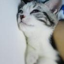 MK的个人资料头像