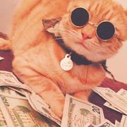 RoseGolden的个人资料头像