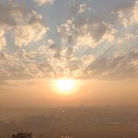 c逍遥888888888头像