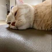 林具人的个人资料头像