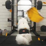 老sugar的个人资料头像