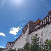 专业bug写手的个人资料头像