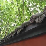 茶烟透窗魂生香头像
