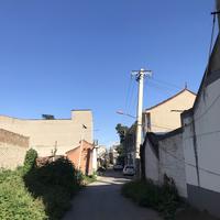 蟹堡王的蟹堡黄头像