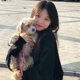 铁板烧小熊崽头像