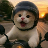 蔚蓝深海08头像