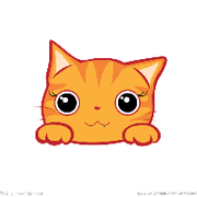 喝汽水的猫的个人资料头像