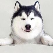 看我眼神007的个人资料头像