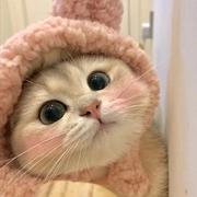 记忆碎片1的个人资料头像