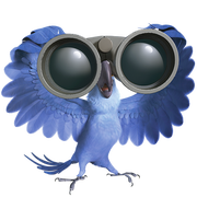 爱吃火锅的鹦鹉的个人资料头像