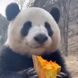 最靓的秃头仔头像