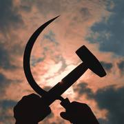 yzm666的个人资料头像