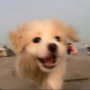 Lai795的个人资料头像