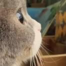 子非鱼ooo的个人资料头像