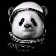 AAA澤的个人资料头像