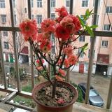 顺其自然135324226头像