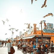 吱安张的个人资料头像