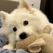 LiiEvan的个人资料头像