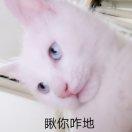 吃饭睡觉写java的个人资料头像