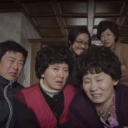 让我净净的呼吸的个人资料头像