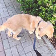 黎黎黎明的个人资料头像