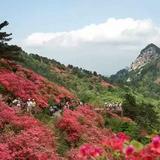 天目山713头像