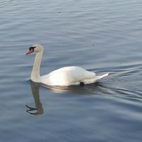 幸运扑克jeH头像