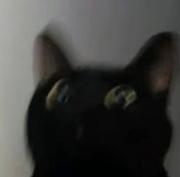 Bluexx的个人资料头像