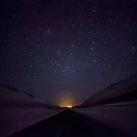 微蚁很无奈头像