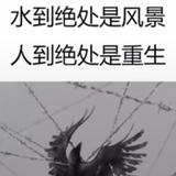 苏赫巴兽123头像