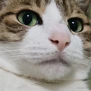 放学杀猪的个人资料头像