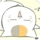 tokerr的个人资料头像