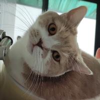 用户9183667037216头像