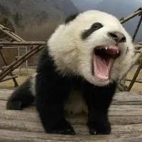 喜欢做模型的外卖员头像