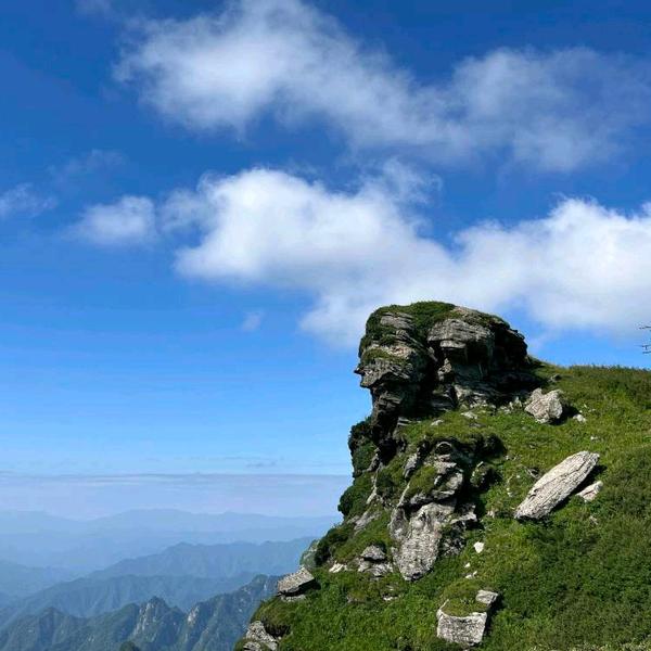 终南山小强头像