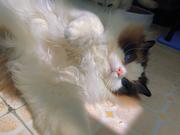 爱吃红星柚的个人资料头像