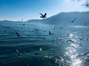 前端混日子练习生的个人资料头像