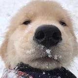 北♥笙头像