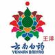 王洋8318头像