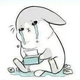 憨憨94928头像