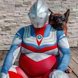 用户4027926913355头像