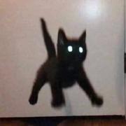 雨相黎的个人资料头像