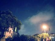 _纯粹的个人资料头像