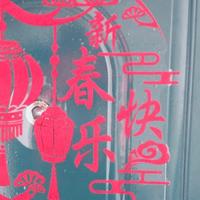 大傻看见567头像