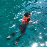 用户7329667320240头像