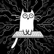 AvalonDemerzel的个人资料头像