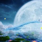 695的个人资料头像