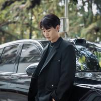 Leo的车视界头像