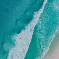 阿修轻松伯特头像