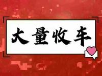 泉州洪姐姐淘淘车头像